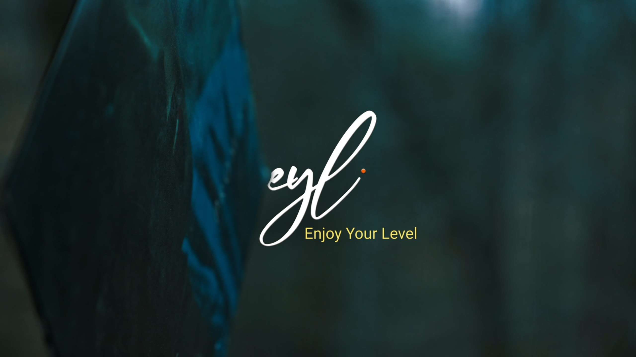 Enjoy Your Level